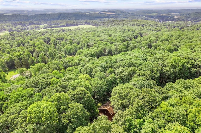 147 Crimson Oak Rd, Jefferson Twp Som, PA 15501 - bird's eye view of a forest