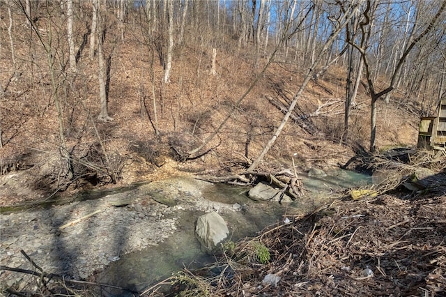 2357 Pitcairn Rd, Monroeville, PA 15146 - view of local wilderness