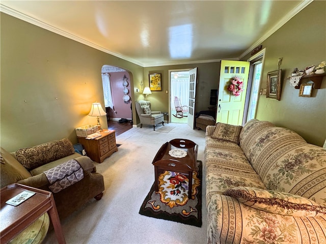 911 Columbia Ave, Grove City Boro, PA 16127 - living room with arched walkways, carpet floors, and ornamental molding