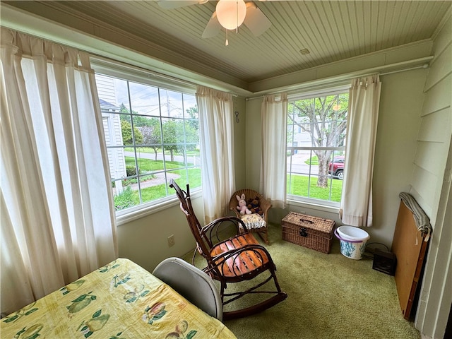 911 Columbia Ave, Grove City Boro, PA 16127 - carpeted bedroom featuring multiple windows, ornamental molding, and ceiling fan