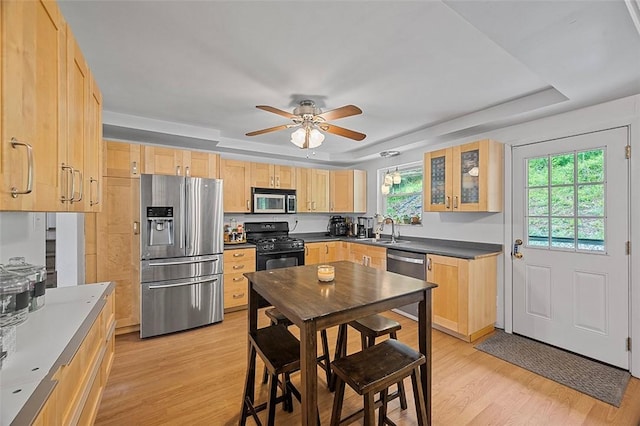 426 Oliver Dr, White Oak, PA 15131 - kitchen featuring appliances with stainless steel finishes, light brown cabinets, a tray ceiling, light wood-style floors, and a sink
