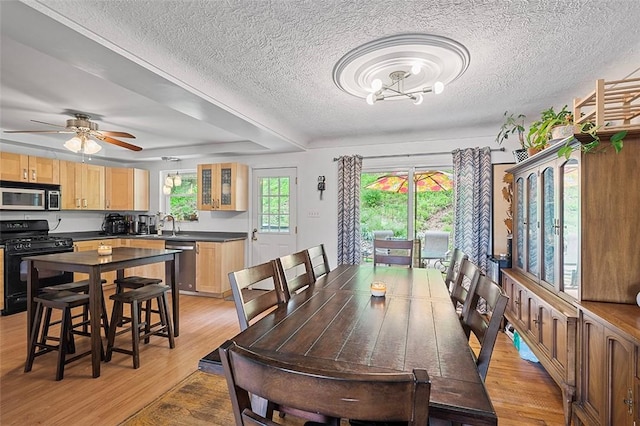 426 Oliver Dr, White Oak, PA 15131 - dining area with light wood-type flooring, a textured ceiling, a chandelier, and ceiling fan