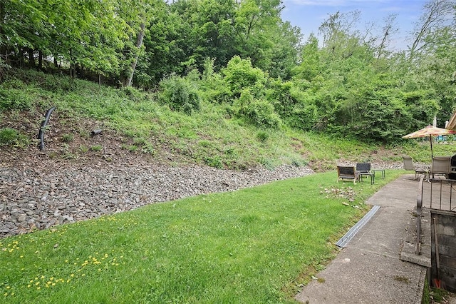 426 Oliver Dr, White Oak, PA 15131 - view of green lawn
