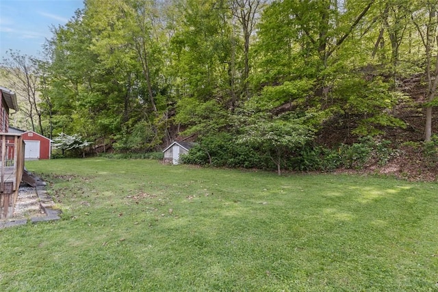 view of green lawn with an outbuilding