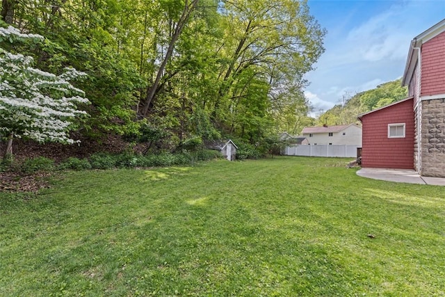 view of yard featuring a patio