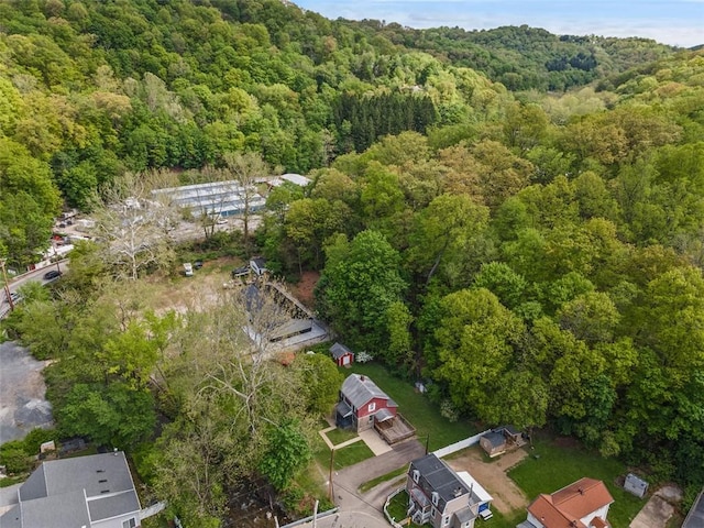 aerial view of a forest