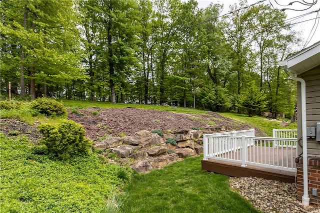 view of yard featuring a wooden deck