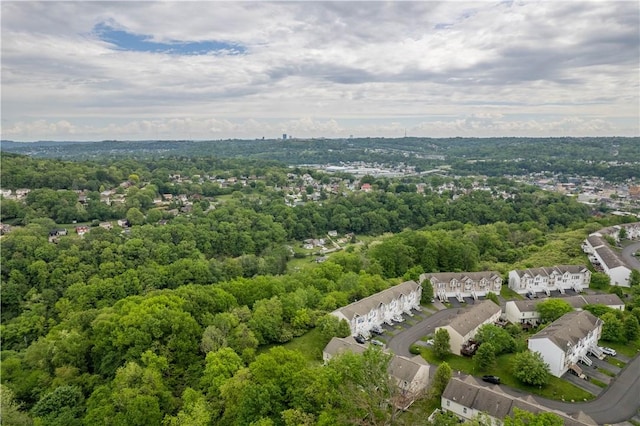 239 Mountain Dr, Carnegie, PA 15106 - drone / aerial view of a forest