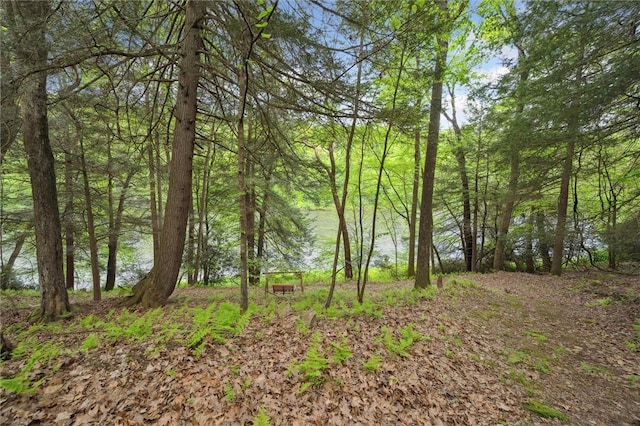 365 Hemlock Bnd, Emlenton, PA 16373 - water view featuring a heavily wooded area