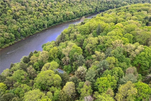 365 Hemlock Bnd, Emlenton, PA 16373 - aerial view of a forest and a large body of water