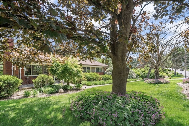 200 Dorseyville Rd, Ohara, PA 15215 - view of grassy yard
