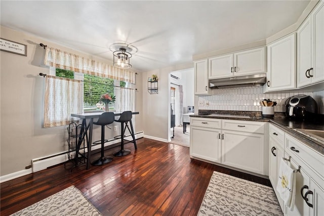 116 Tangelo Dr, Jefferson Hills, PA 15025 - kitchen with baseboard heating, under cabinet range hood, dark wood-style flooring, baseboards, and backsplash