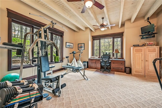 workout room with ceiling fan, wood ceiling, and carpet flooring