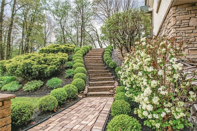 view of yard with stairs