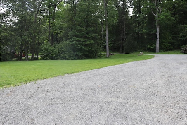 view of dirt / gravel road with a view of trees