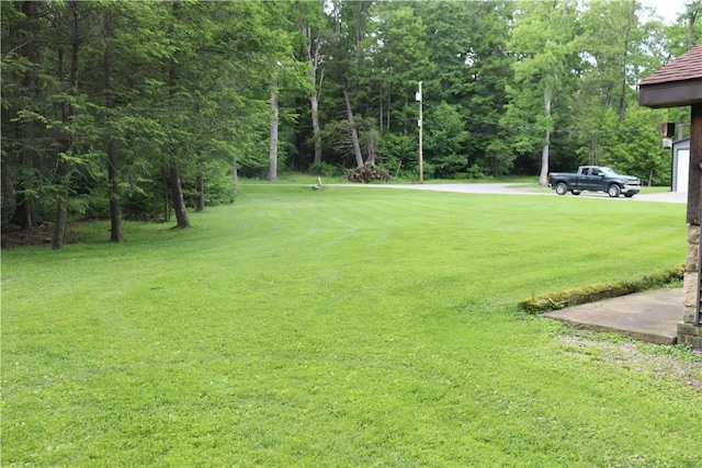 view of green lawn