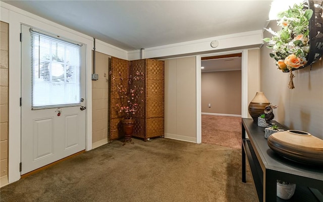 entryway featuring carpet