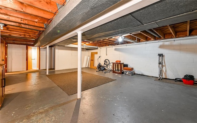 unfinished below grade area featuring concrete block wall