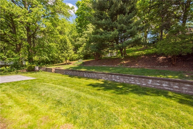 3334 Comanche Rd, Upper St Clair, PA 15241 - view of green lawn