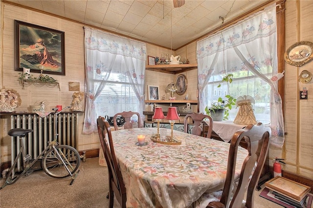 dining room with radiator, carpet floors, wooden walls, and plenty of natural light