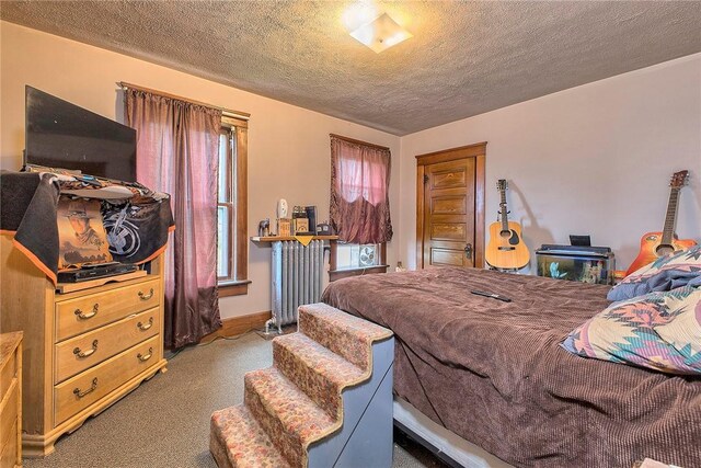 257 Lavansville Rd, Somerset Twp, PA 15501 - carpeted bedroom featuring a textured ceiling and radiator