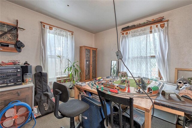 257 Lavansville Rd, Somerset Twp, PA 15501 - carpeted dining room with a textured wall and a desk