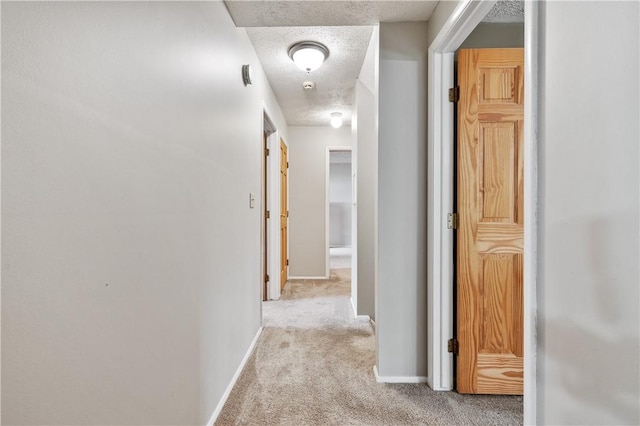 3 Patricia St, Fallowfield, PA 15022 - corridor featuring light colored carpet, a textured ceiling, and baseboards