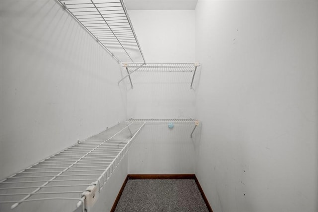 2918 Woodland Cir, Hampton, PA 15101 - view of walk in closet