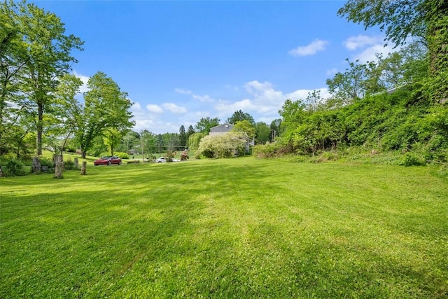 2918 Woodland Cir, Hampton, PA 15101 - view of green lawn
