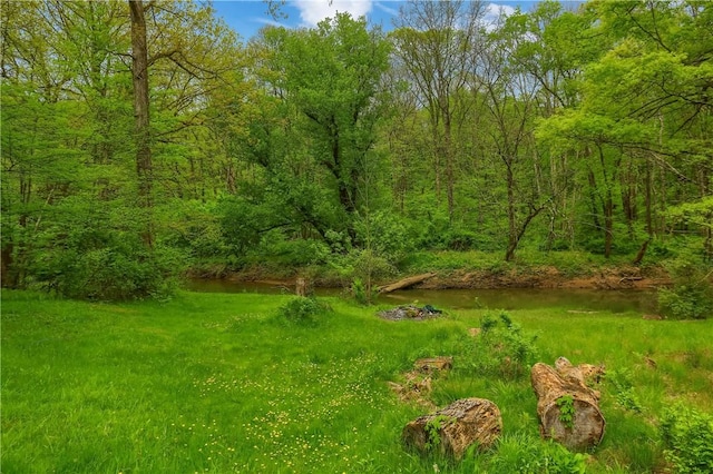 138 Bovard Ln, Cherry Twp, PA 16020 - view of yard