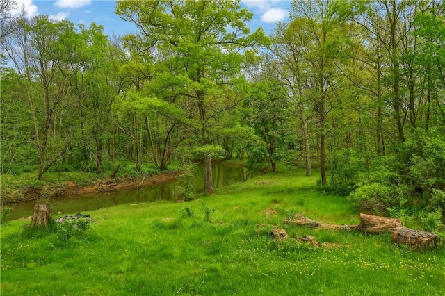 138 Bovard Ln, Cherry Twp, PA 16020 - view of yard with a view of trees