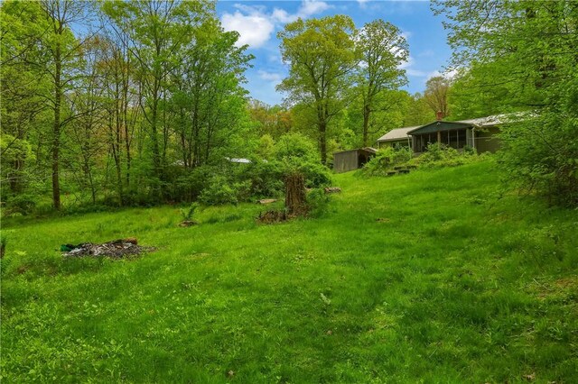 138 Bovard Ln, Cherry Twp, PA 16020 - view of yard with a wooded view and an outdoor structure