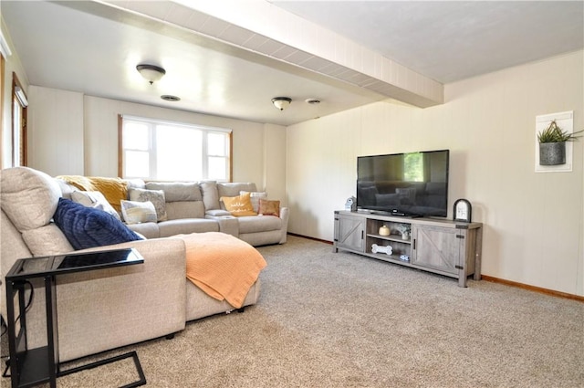 525 Joffre Bulger Rd, Smith, PA 15021 - carpeted living room featuring baseboards