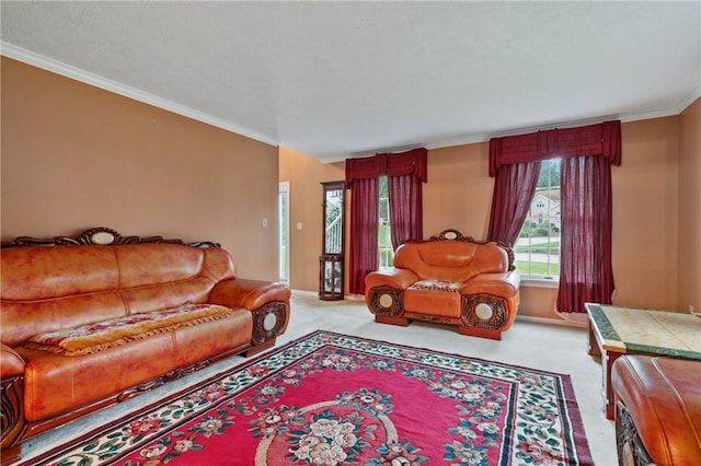 228 Meadowfield Ln, Jefferson Hills, PA 15025 - living area featuring light colored carpet and crown molding