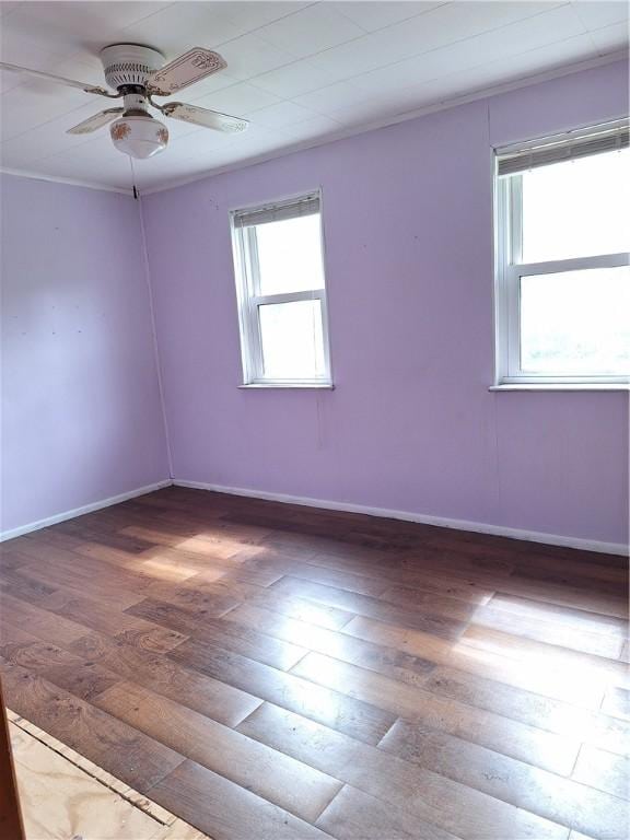 29 Elm St, Ellsworth Boro, PA 15331 - photo 14