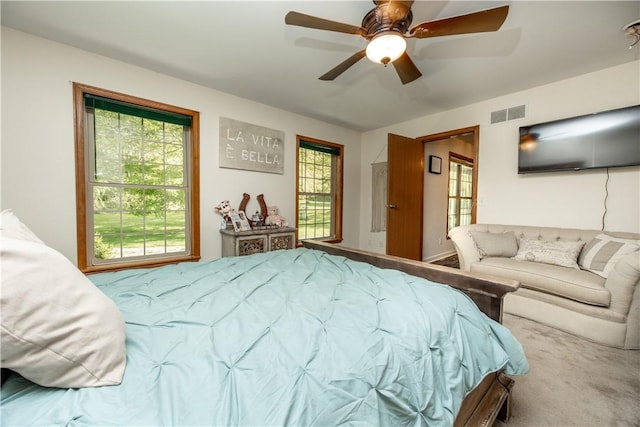 529 Mill Creek Rd, Mill Creek, PA 16362 - bedroom featuring carpet and ceiling fan