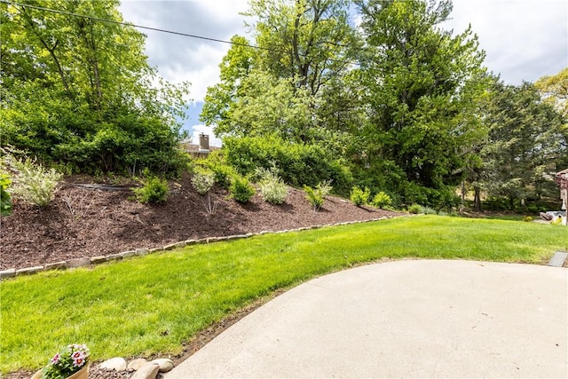 2428 Park Manor Dr, Mckeesport, PA 15132 - photo 25