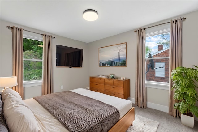 5056 Don St, Finleyville, PA 15332 - bedroom with multiple windows, baseboards, and light carpet