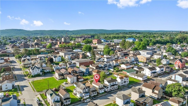 bird's eye view