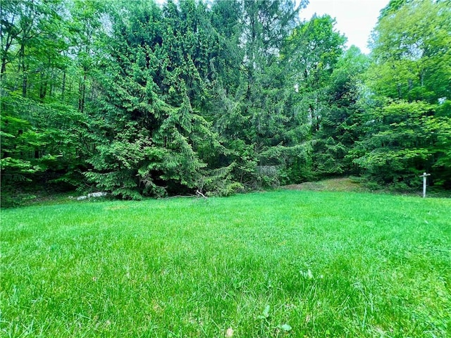 192 Hawkins Hollow Rd, Connellsville, PA 15425 - photo 4
