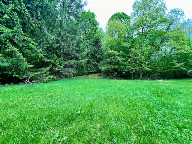 192 Hawkins Hollow Rd, Connellsville, PA 15425 - photo 5