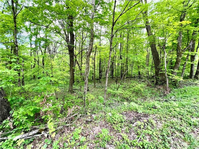 192 Hawkins Hollow Rd, Connellsville, PA 15425 - photo 8