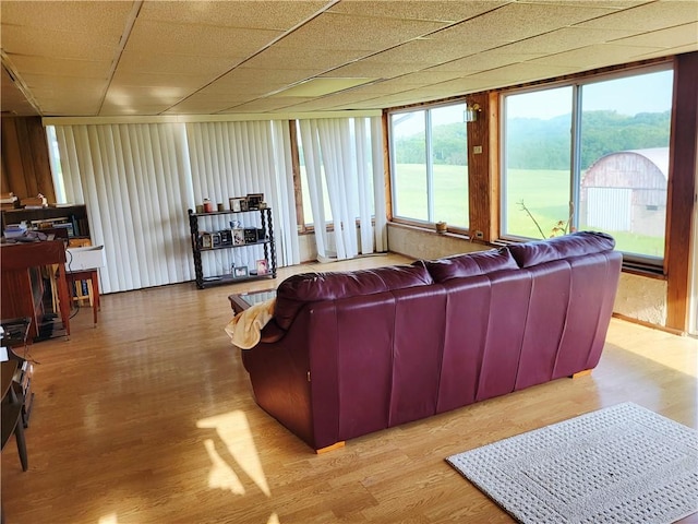 living room featuring wood finished floors