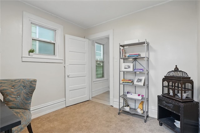 3316 Alberta St, Munhall, PA 15120 - office featuring carpet floors and baseboards