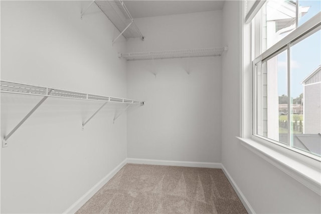 6202 Elm Rd, Pine Twp, PA 15044 - photo 33