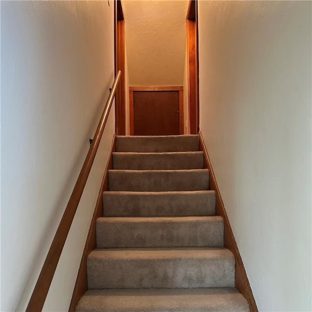 staircase with carpet floors