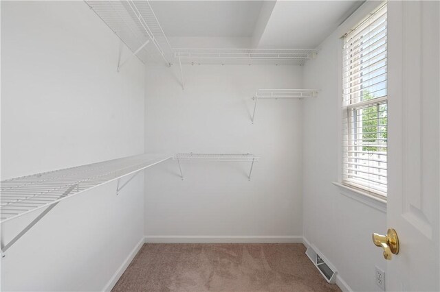 walk in closet featuring carpet