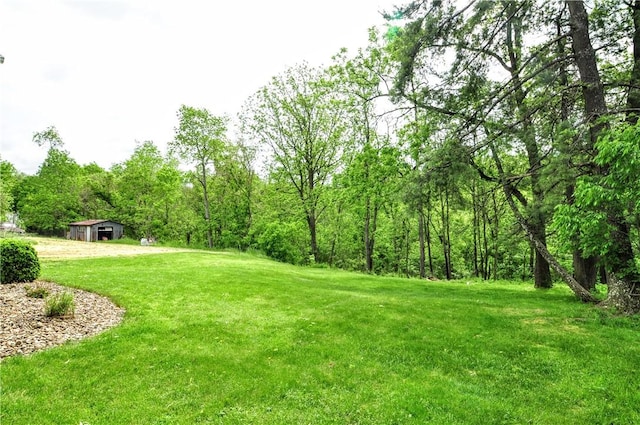 24 N St, Smith, PA 15004 - view of green lawn