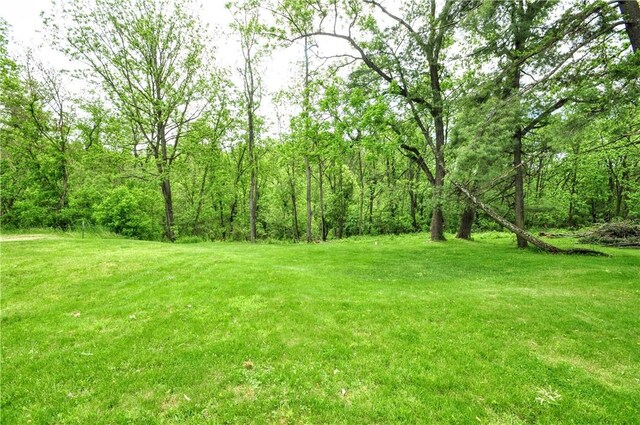 24 N St, Smith, PA 15004 - view of green lawn with a view of trees