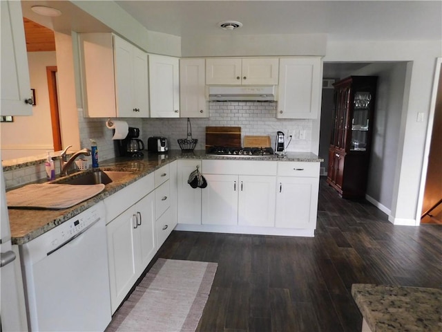 kitchen with dishwasher, a sink, under cabinet range hood, and decorative backsplash